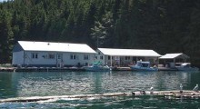 View from water of Bones Bay Lodge