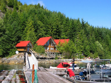 View of Critter Cove from fishing boat docks