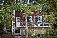 Cabin in the woods at Camp Narrows Lodge