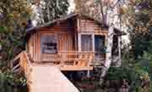 Cabin in the woods Errington's Wilderness Island