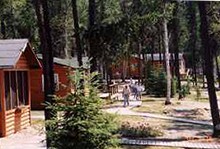 Moose Point Lodge guest cabins