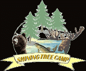 Shining Tree Camp logo