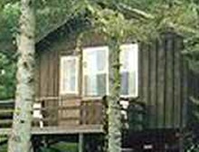 Housekeeping guest cabin at Timber Edge Camps