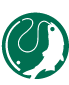 Arctic Adventures logo