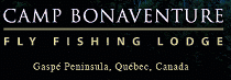 Camp Bonaventure logo