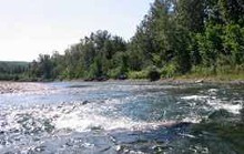 Rapids on Brule River