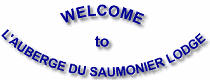 Salmon Angler Lodge logo
