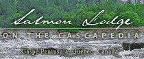 Salmon Lodge logo